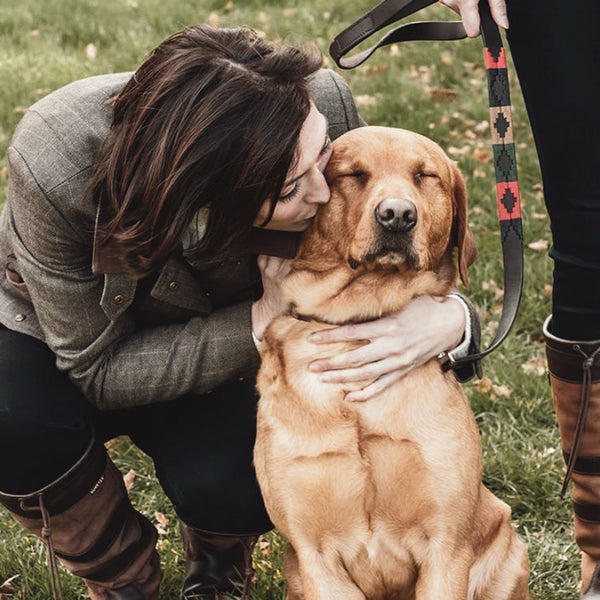 Pampeano_Lifestyle_Navidad_Retriever