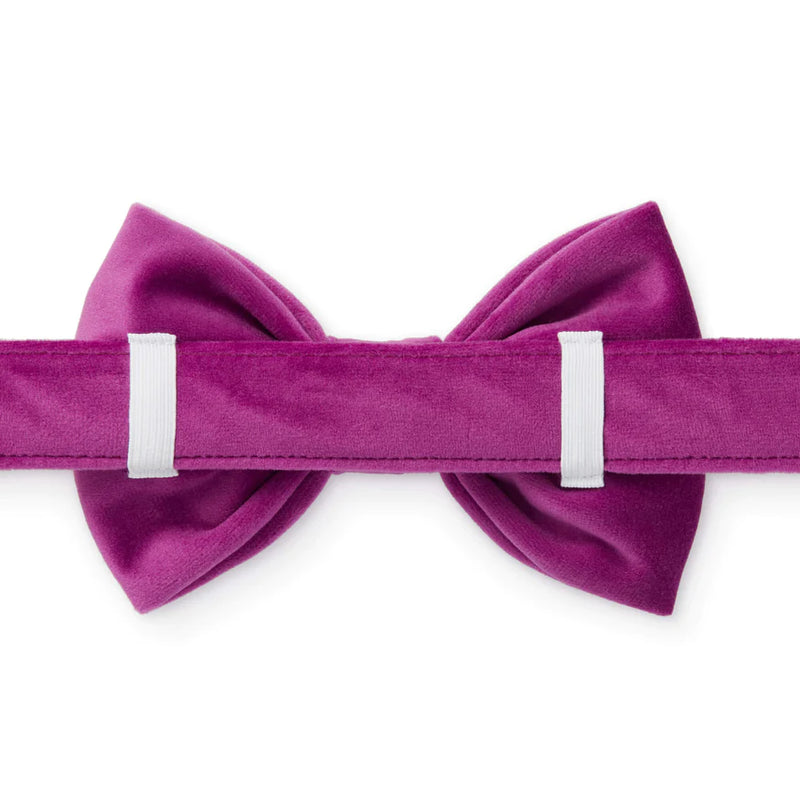 The Foggy dog_Bow Tie_Plum Velvet_Back