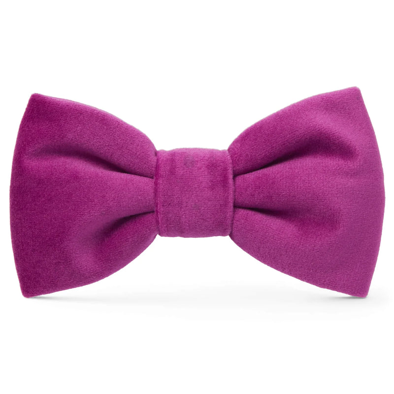 Foggy Dog_Dog Bow Tie_Plum Velvet