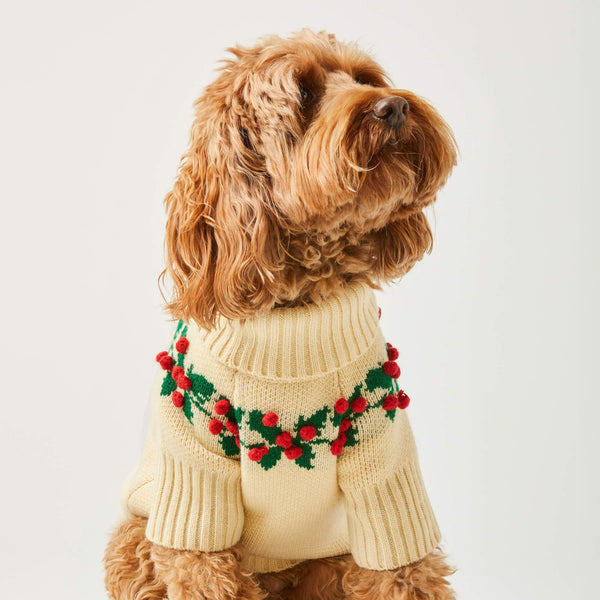 Foggy DOg_Holly Bobble Dog Jumper_Christmas