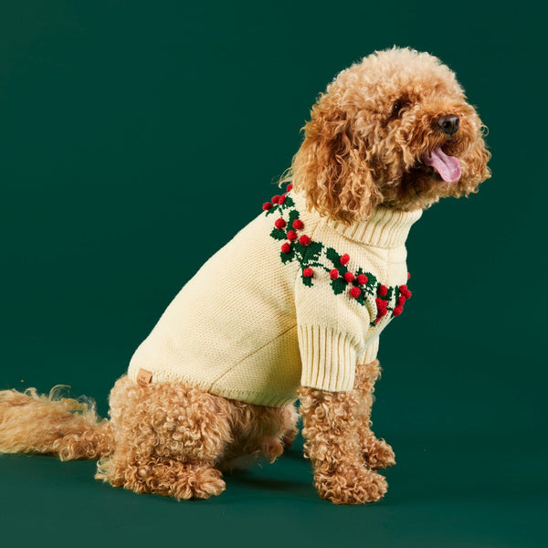 Foggy DOg_Holly Bobble Dog Jumper_Christmas