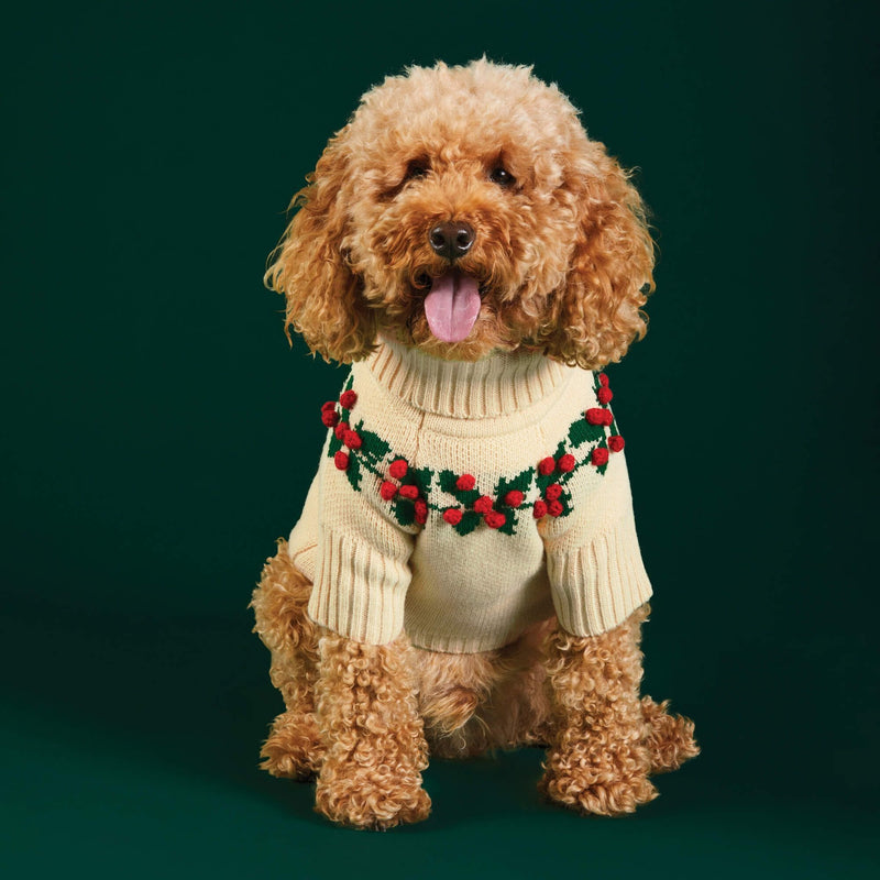 Foggy DOg_Holly Bobble Dog Jumper_Christmas