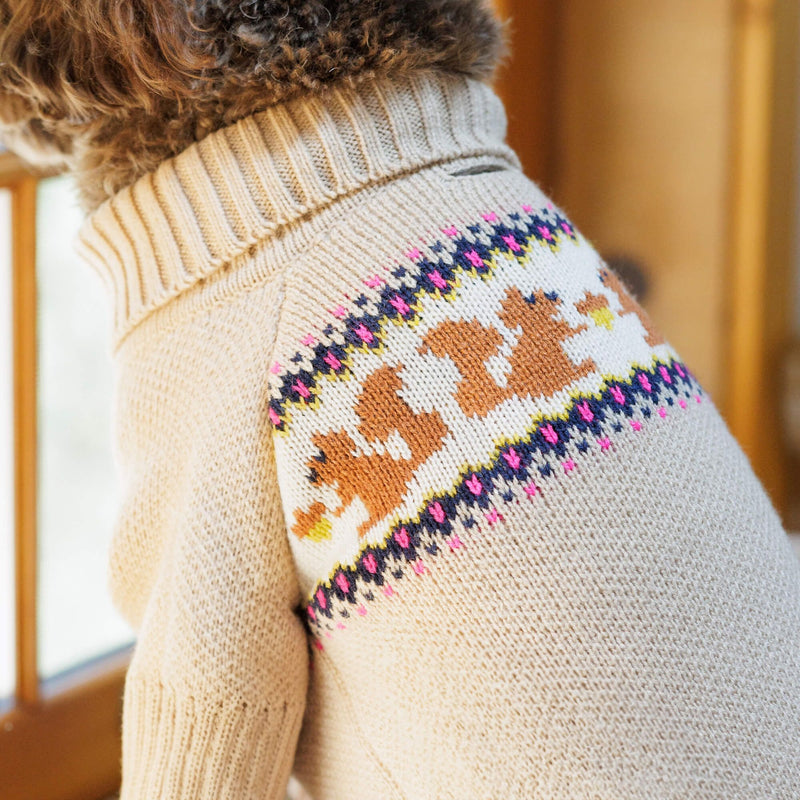 Squirrel Dog Sweater