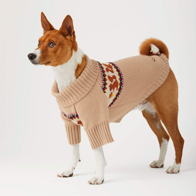 Foggy Dog_Squirrel Jumper_Christmas_shiba