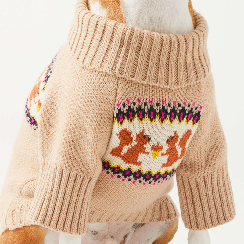 Foggy Dog_Squirrel Jumper_Christmas