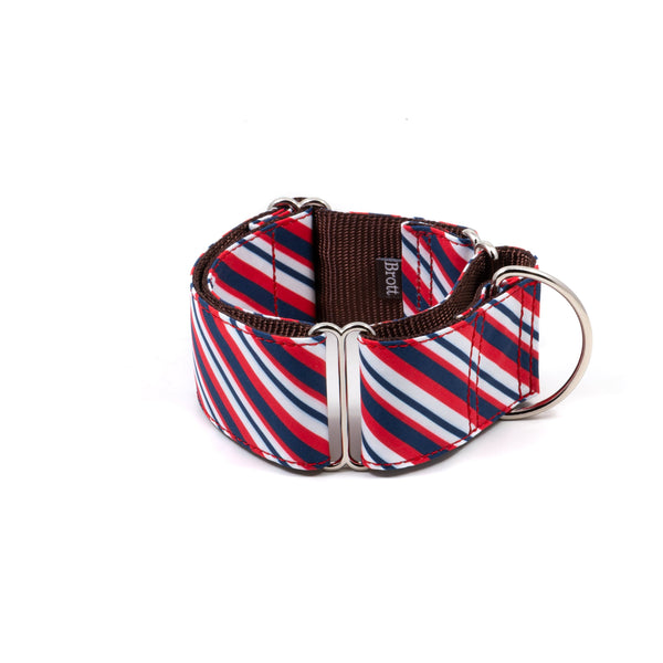 Brott Dog_Martingale Dog Collar_Calella stripe