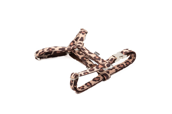 Brott Dog_Leopard Print_Copons_H Dog Harness