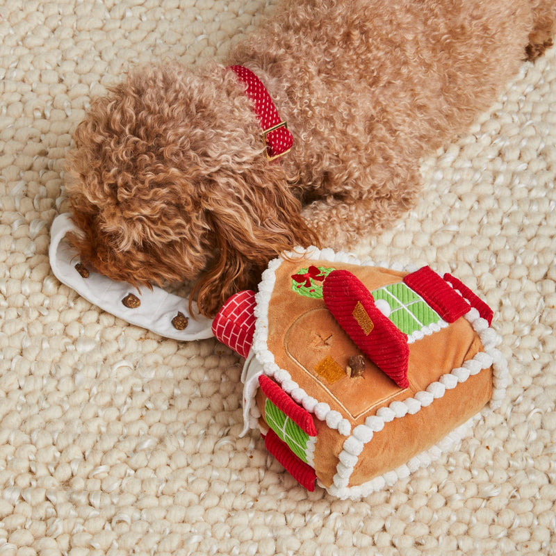 Foggy Dog_GIngerbread House_Snuffle Toy_Cavapoo