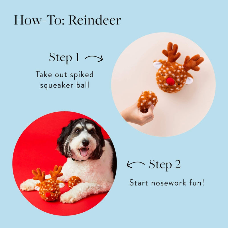 Foggy Dog_Reindeer Dog Bounce Toy_