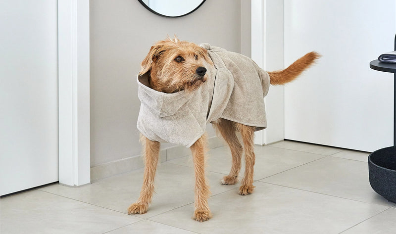 Mia Cara_Bagno Dog Bathrobe_gregie_Medium Dog 