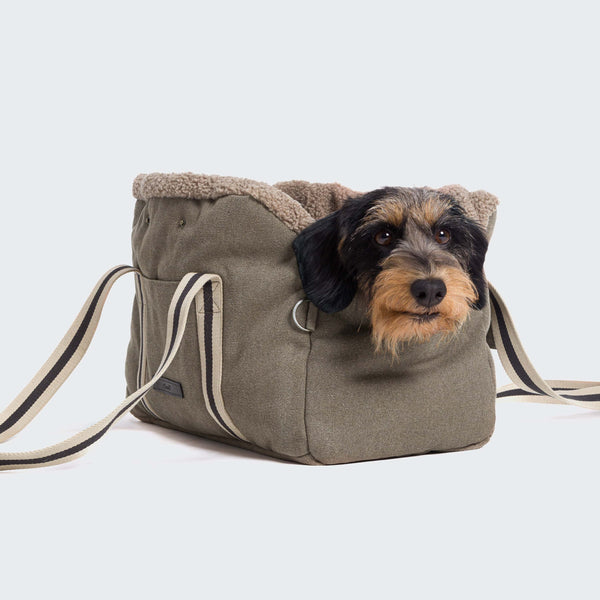Dog peeking out from a gray pet carrier with a white background