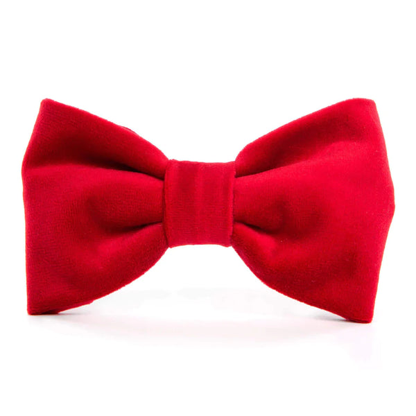 The Foggy Dog_Dog Bow Tie_Cranberry Red Velvet
