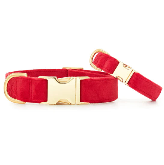 The Foggy Dog_Cranberry Velvet_Dog Collar