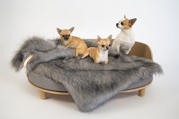 Three small dogs on a modern pet bed with gray fur and wooden frame.