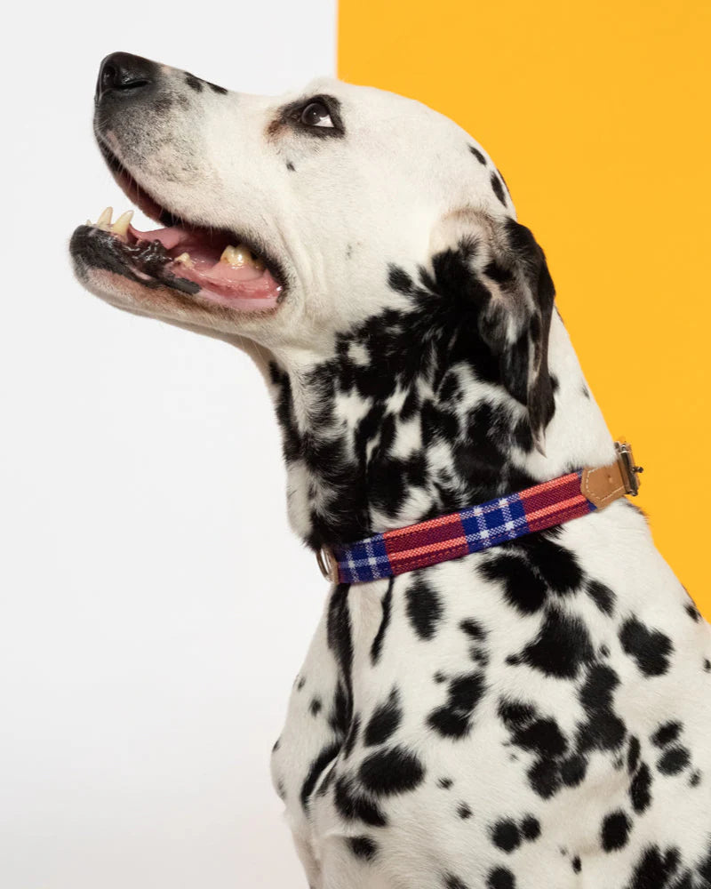 Shuka Red Dog Collar