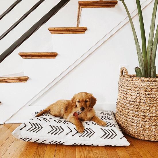 The Foggy Dog_Bed Cover_Design_Charcoal mud cloth_Chevron design_Puppy