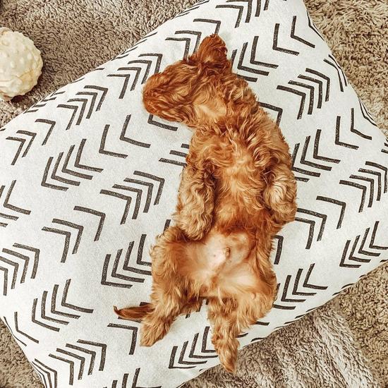 The Foggy Dog_Bed Cover_Design_Charcoal mud cloth_Chevron design_Puppy sleeping