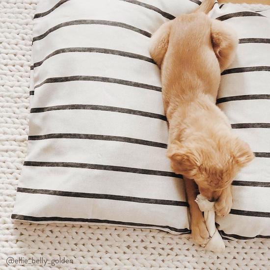 The Foggy Dog_Bed Cover_Design_Charcoal stripe_above view_puppy bed