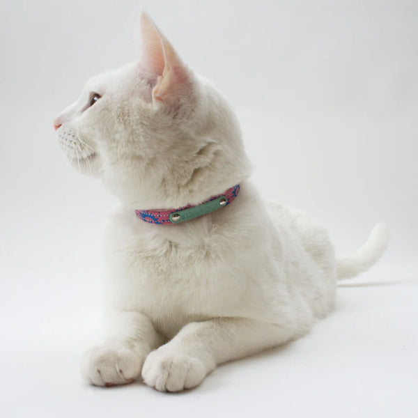 Hiro & Wolf_Cat Collar_Nebula_white cat