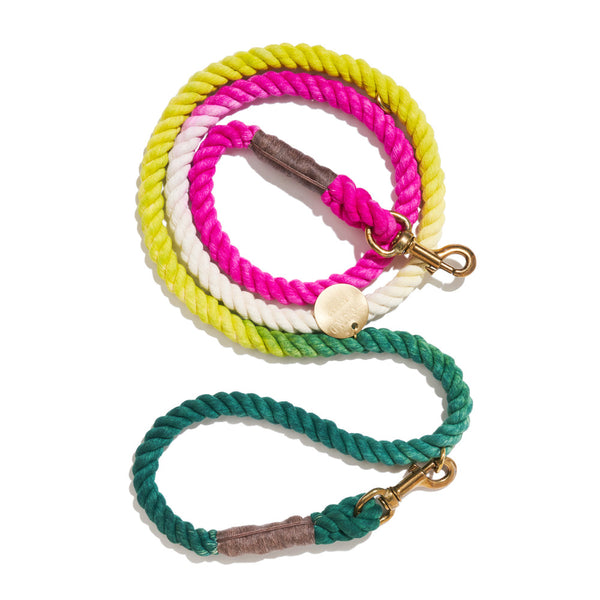 Radish Rope Adjustable Dog Lead – Howl Growl - Main Image