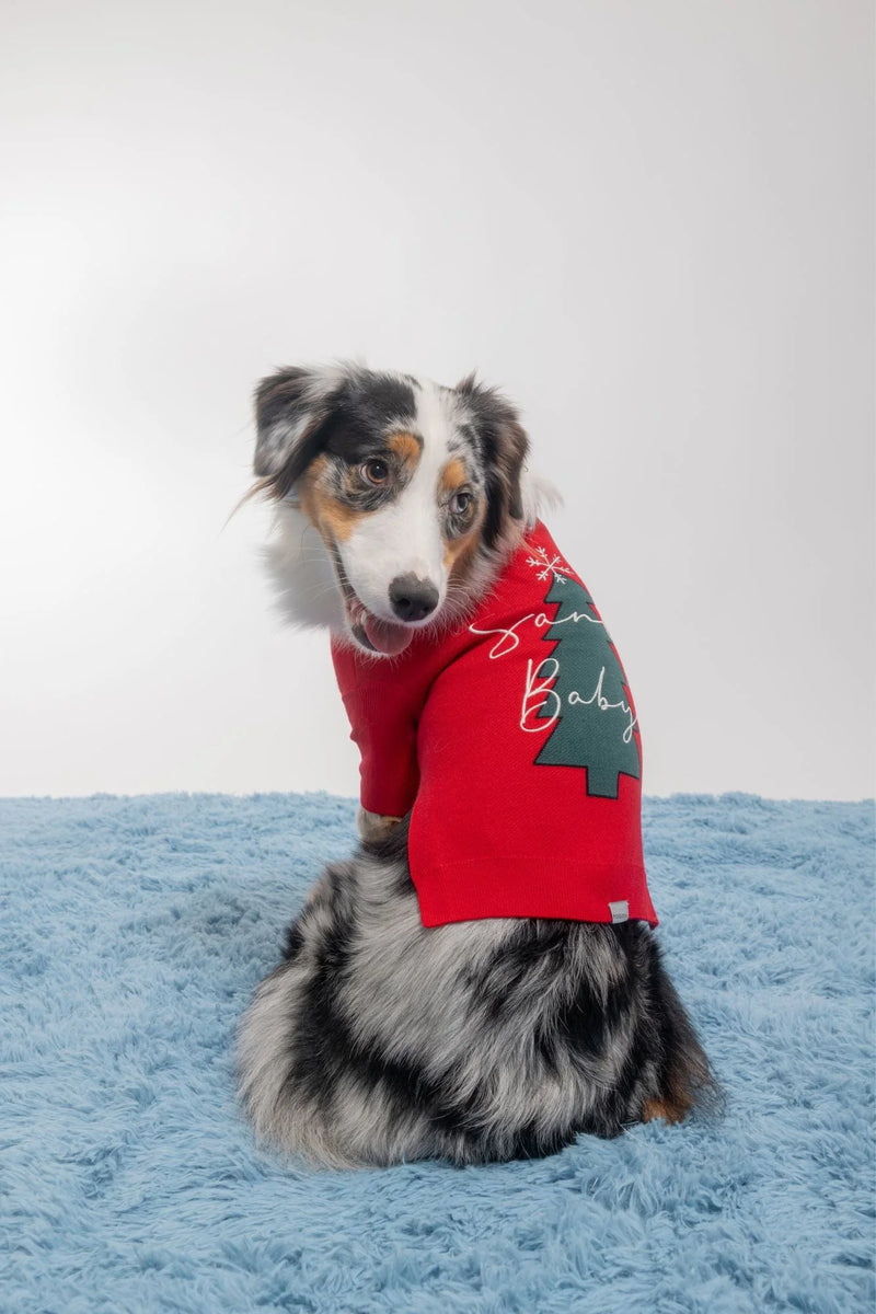 Maxbone_Santa Baby_Dog Jumper_Collie large