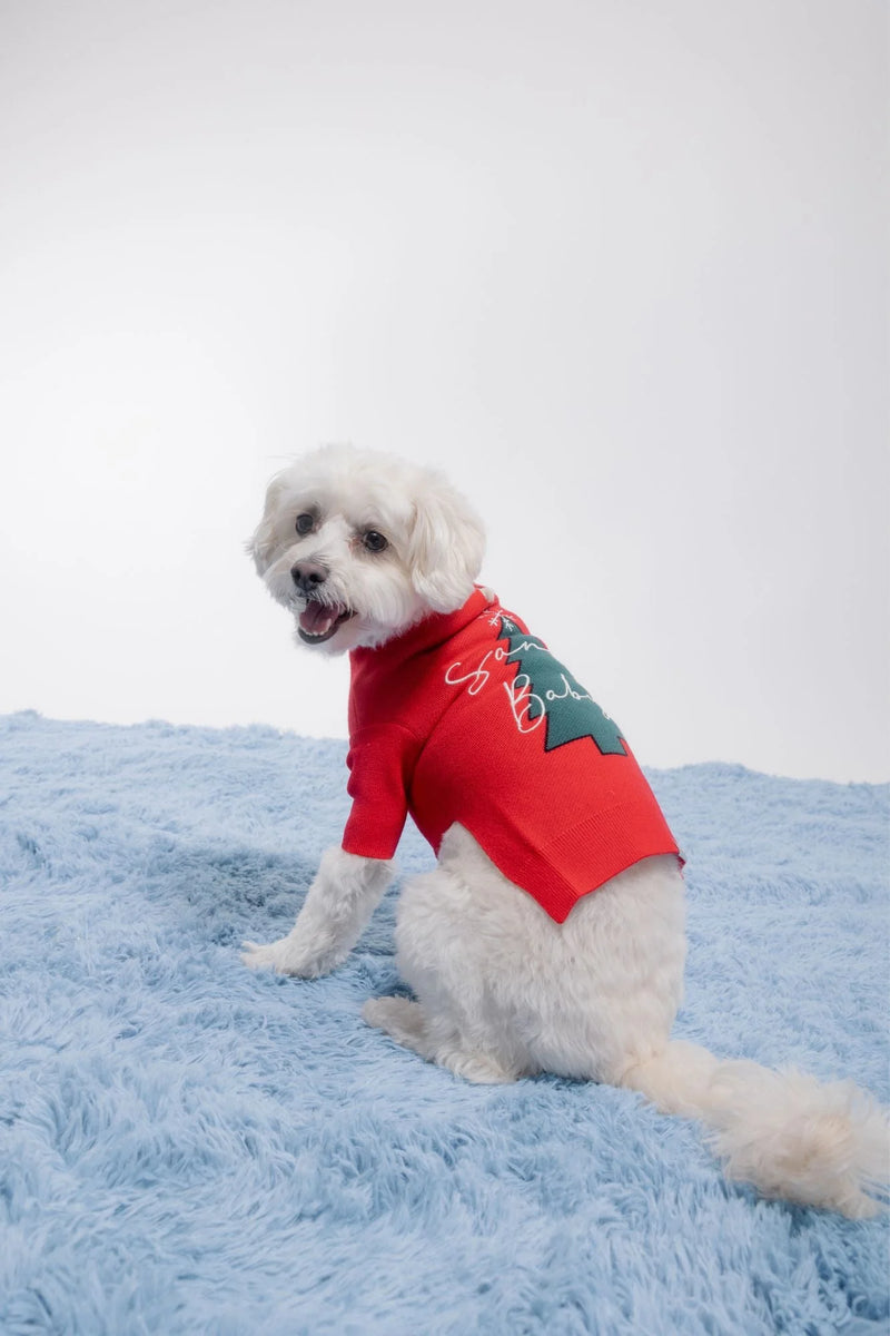 Maxbone_Santa Baby_Dog Jumper_Poodle