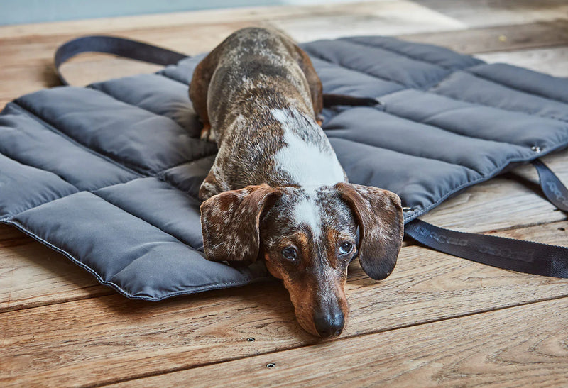 Mia Cara_Dog Travel Bed_Grey_Dachshund