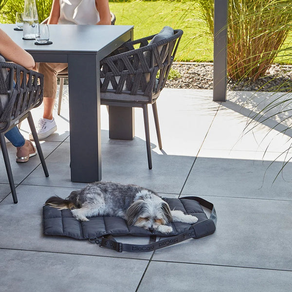 Mia Cara_Dog Travel Bed_Grey_Havanese
