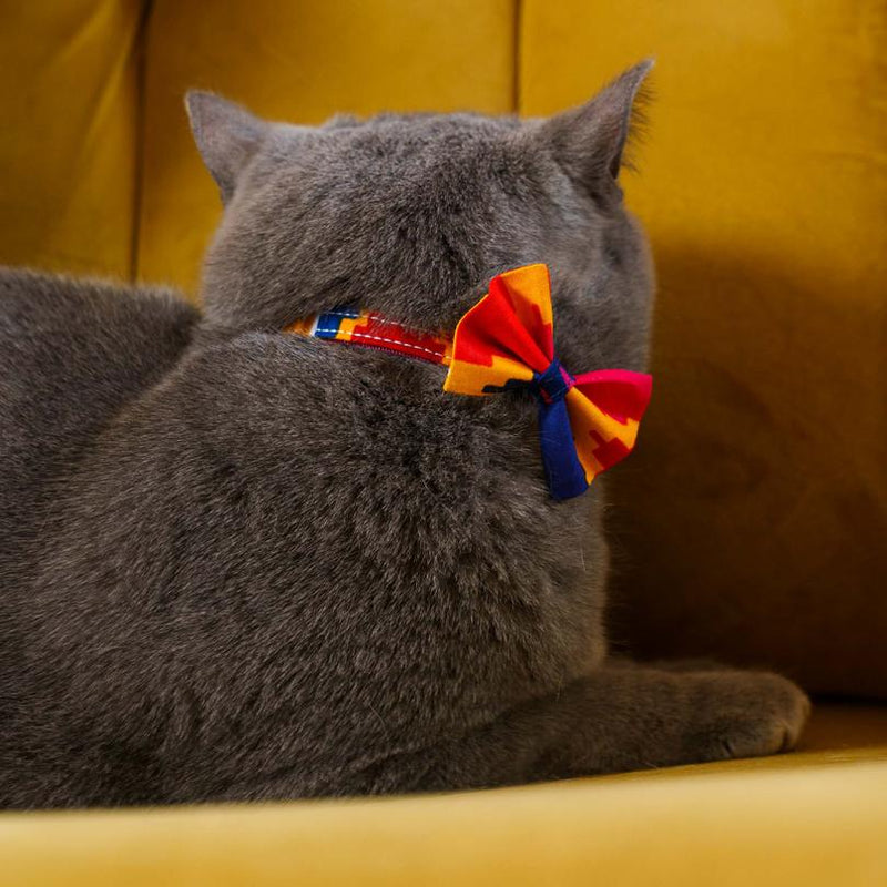 Hiro & Wolf-Dakar Cat Collar-bow tie