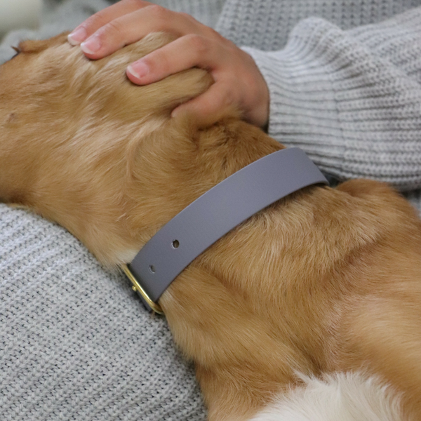 Prunkhund-Waterproof Dog Collar Grey-Detail