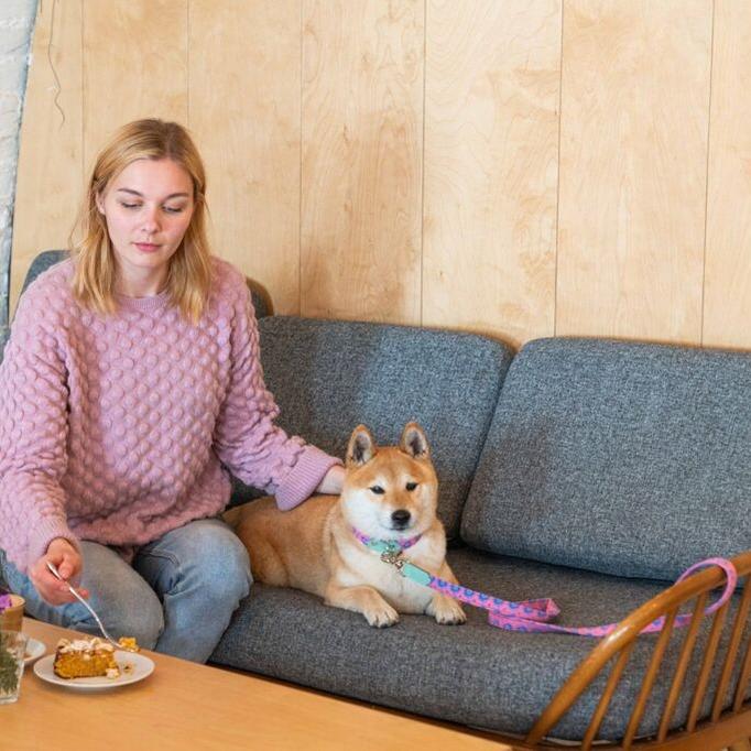 Hiro & Wolf-Nebula Café Dog Lead-Lifestyle