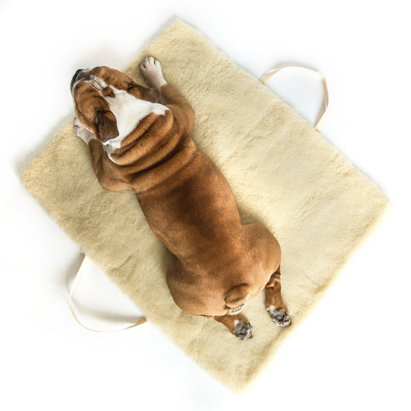 Cloud 7 - Travel Bed -Tweed Grey Bulldog