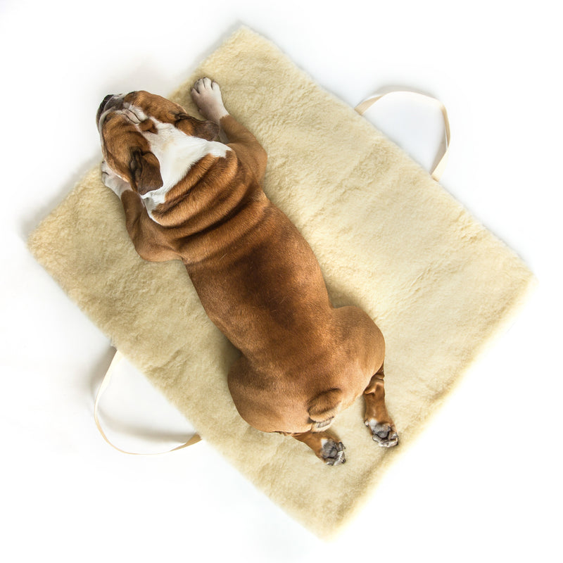 Cloud 7 - Travel Bed -Tweed Grey Bulldog