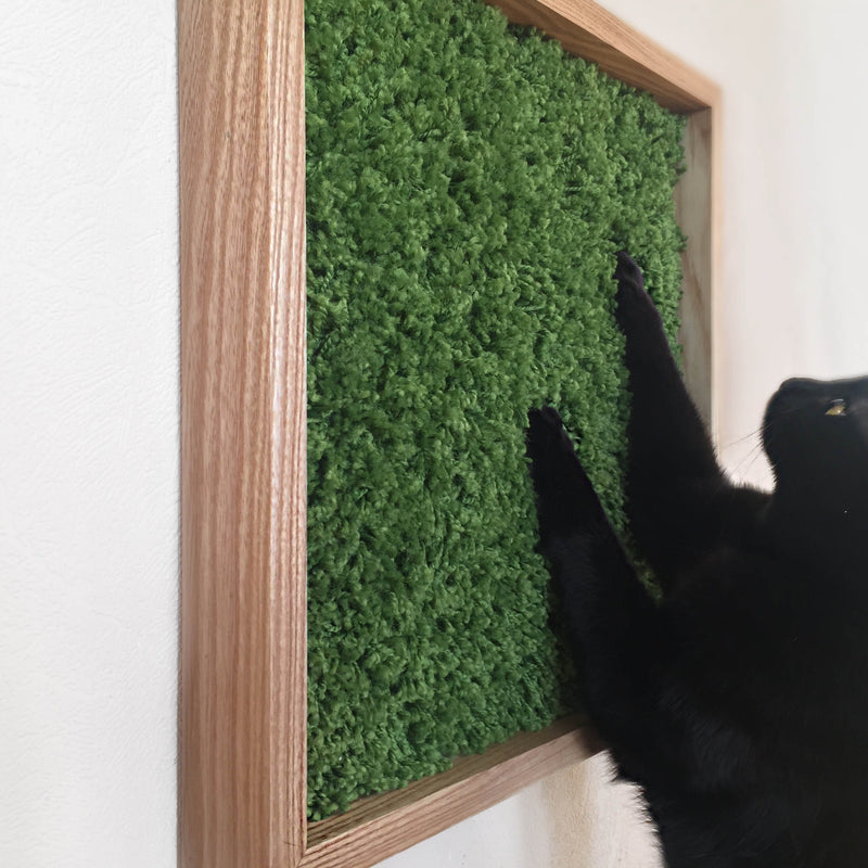 Pettel-Frame Cat Scratcher Green