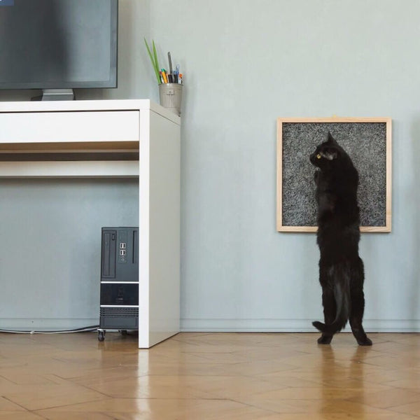 Pettel-Frame Cat Scratcher Grey