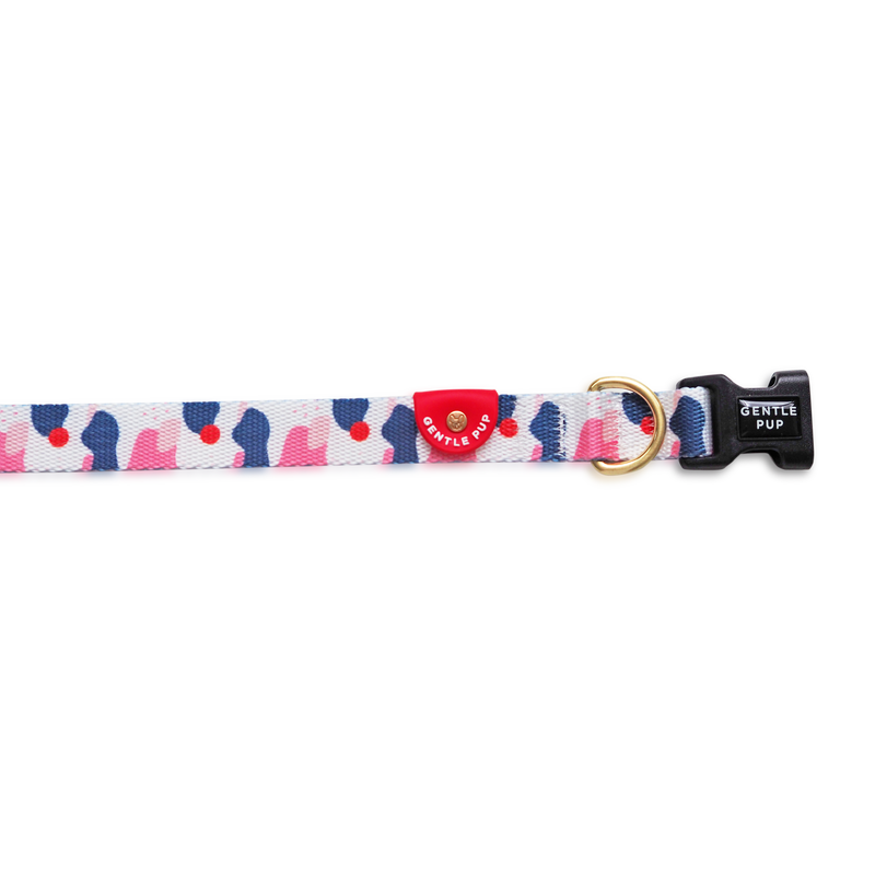 A multicolor dog collar with a heart-shaped tag and a secure snap closure.