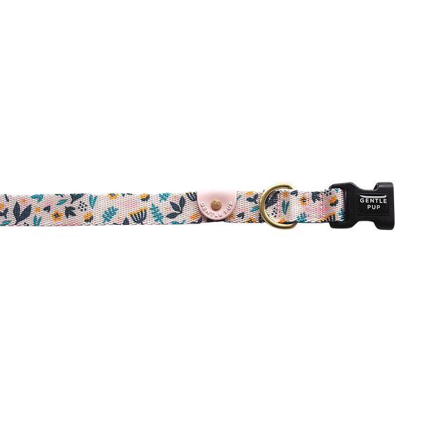 Gentle Pup-Dog Collar-Scandi Spring