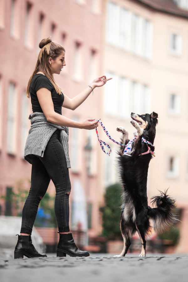 Gentle Pup Dog Lead-Lovely Leia Lifestyle 