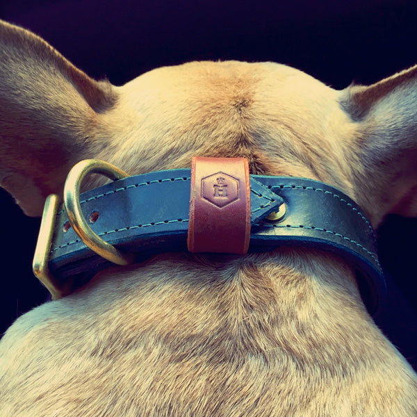 Houndworthy-Forest Green Dog Collar-Frenchie