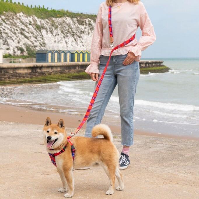 Hiro & Wolf-Shuka Red-Handsfree Dog Lead-Lifestyle
