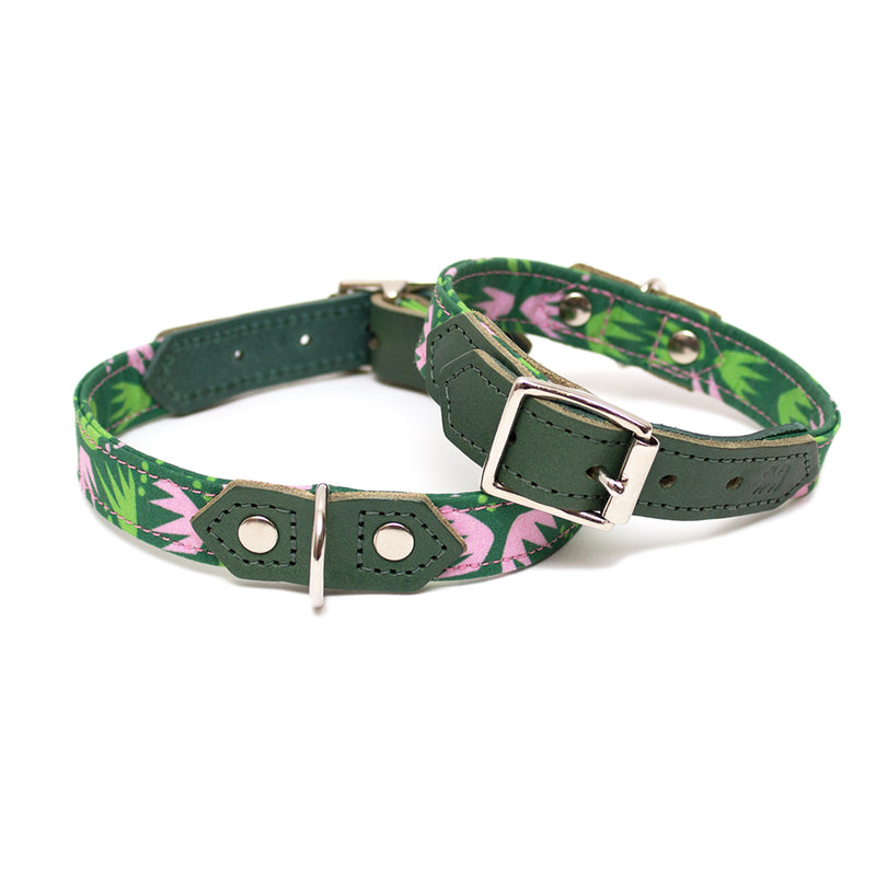 Hiro & Wolf - Combs Dog Collar