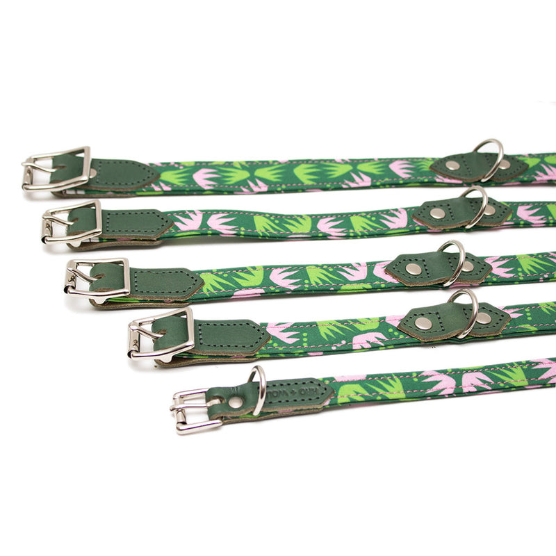 Hiro & Wolf - Combs Dog Collar