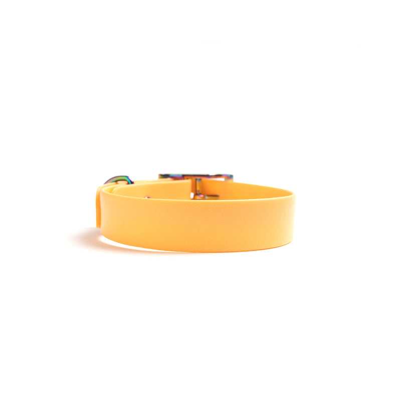 Biothane Orange Dog Collar-Back