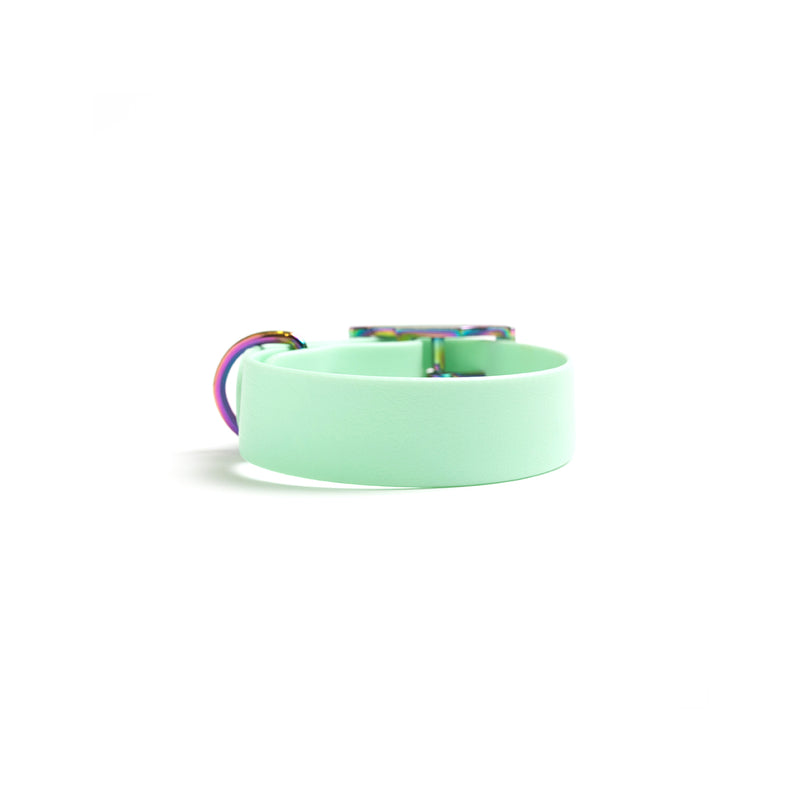 Biothane Dog Collar-Seafoam_Waterproof