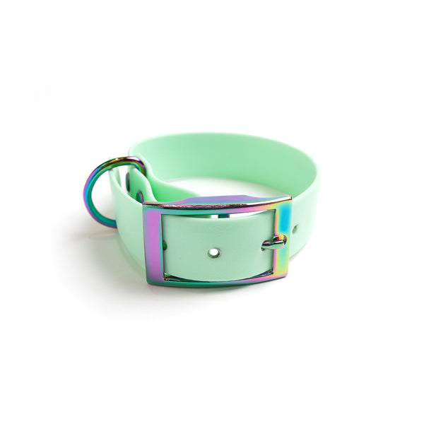 Seafoam Green Dog Collar_Rainbow Hardware