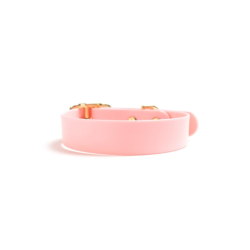 Think Pink Dog Collar Biothane