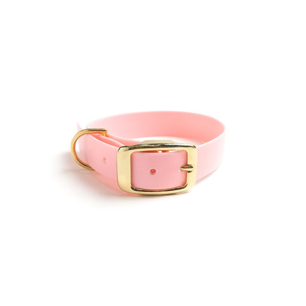 Pink Waterproof Dog Collar_Biothane Pink
