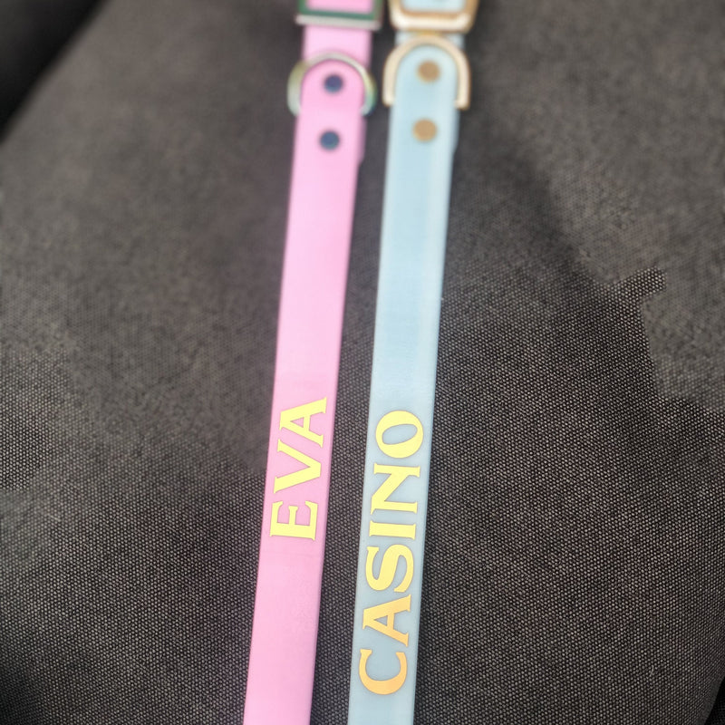 Personalised Dog Collar Biothane