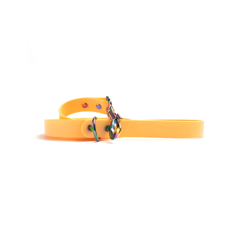 Peach Melba Waterproof Dog Lead Biothane
