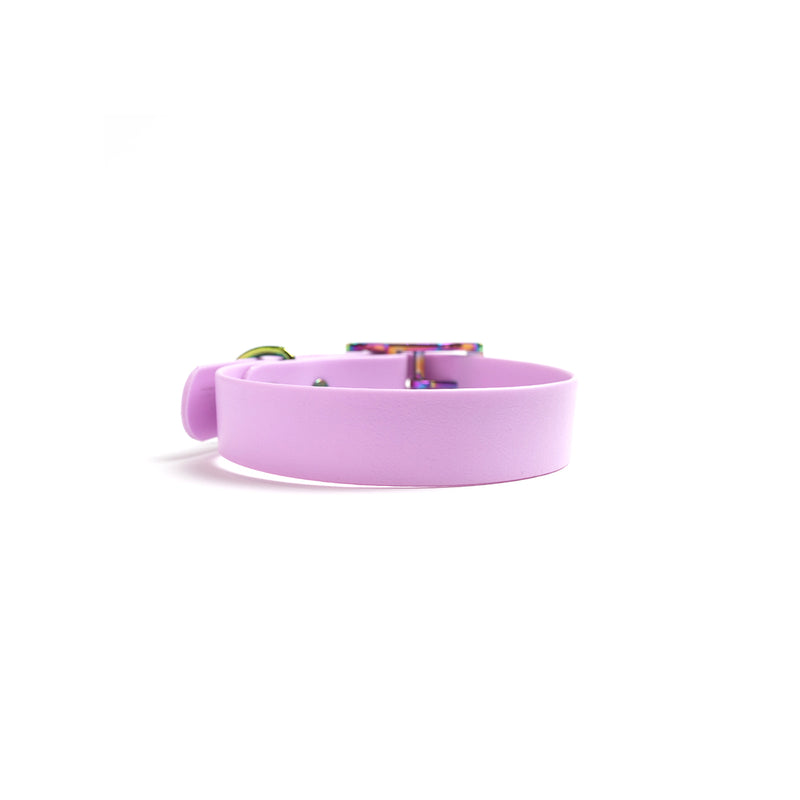 Purple Biothane Dog Collar